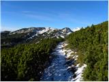 Planina Ravne - Kapelica na Molički planini